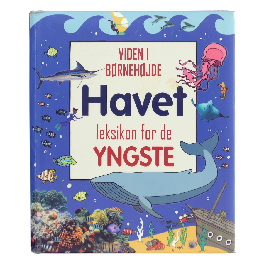 Havet – leksikon for de yngste af Ukendt forfatter (Bog)