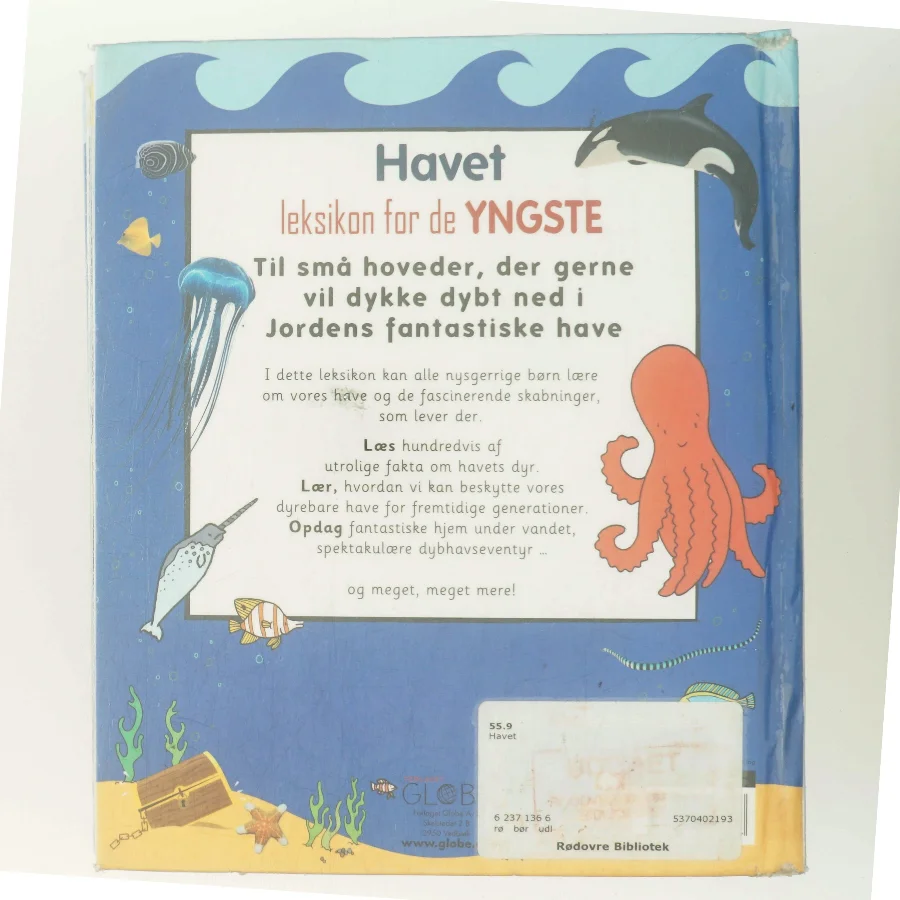 Havet – leksikon for de yngste af Ukendt forfatter (Bog)