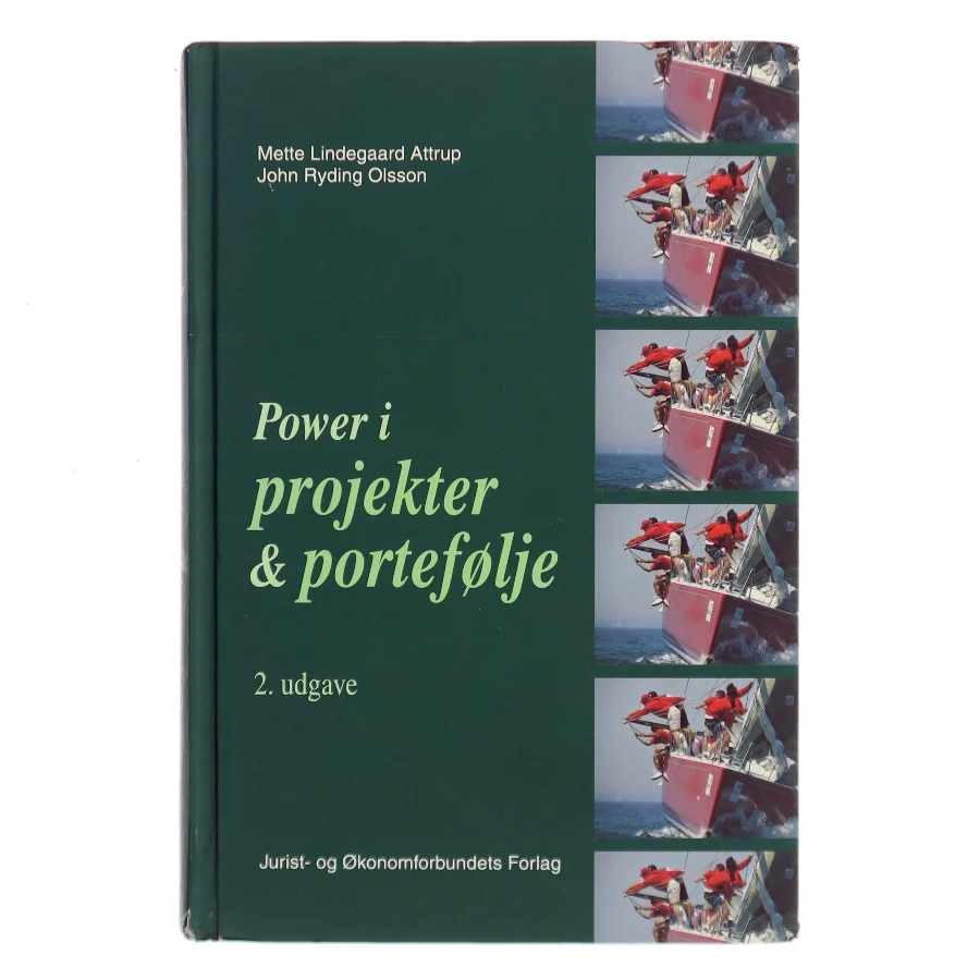 Power i projekter og portefølje (Bog)