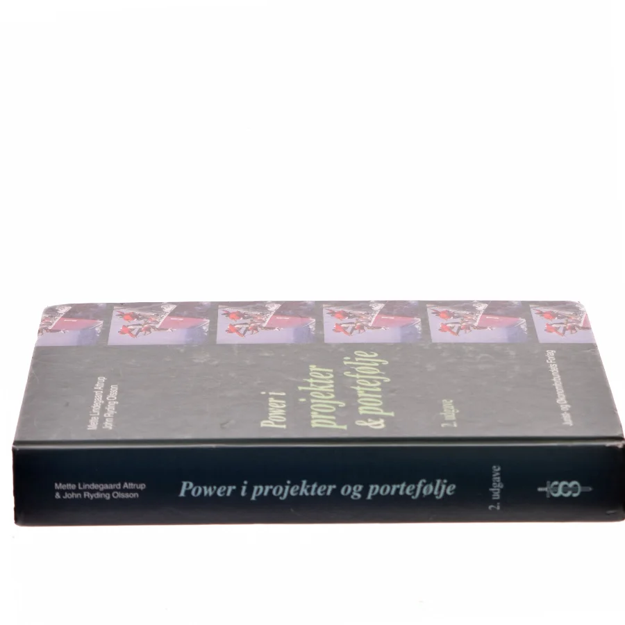 Power i projekter og portefølje (Bog)