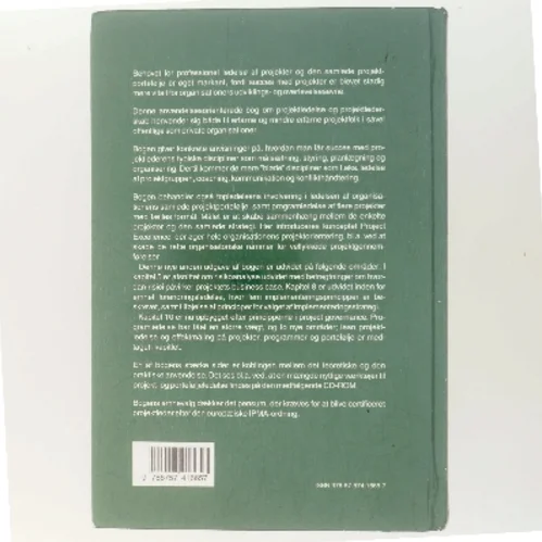 Power i projekter og portefølje (Bog)