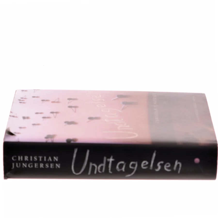 Undtagelsen : roman af Christian Jungersen (Bog)