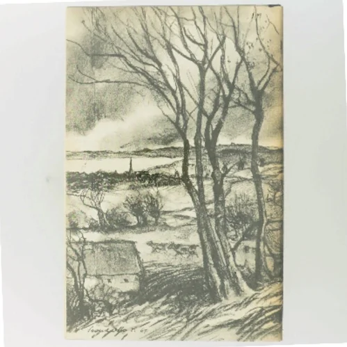 Tine af Herman Bang (Bog)