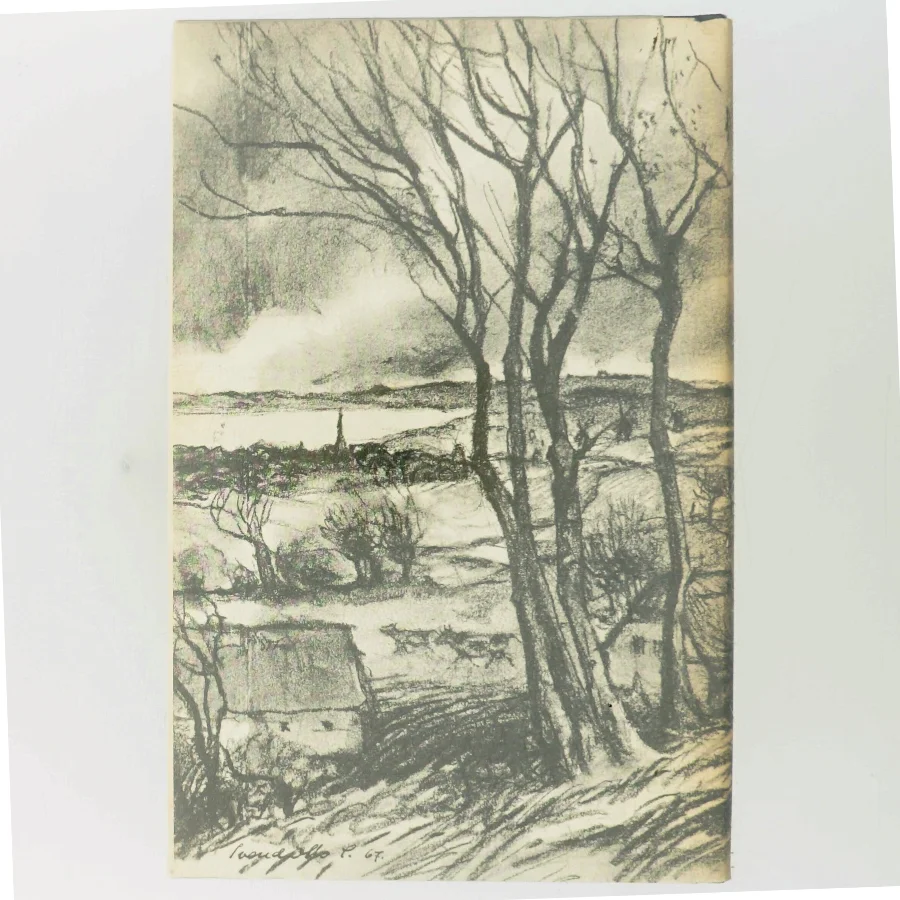 Tine af Herman Bang (Bog)