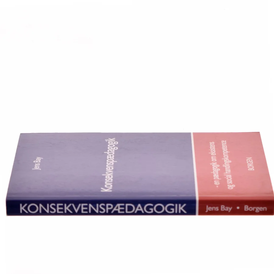 Konsekvenspædagogik : en pædagogik om eksistens og social handlingskompetence af Jens Bay (Bog)