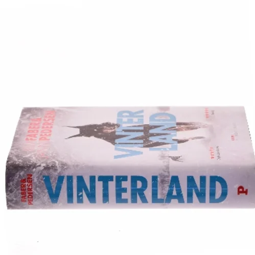 Vinterland (Bog)