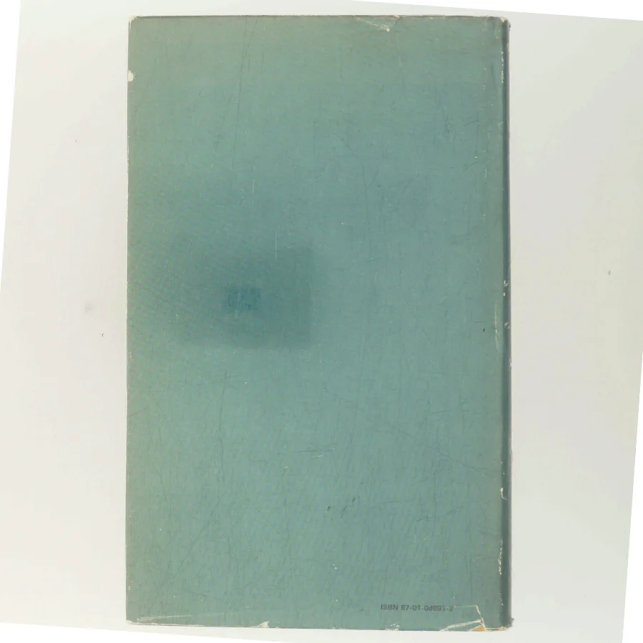 Delano – en by i Georgia af Stuart Woods (Bog)