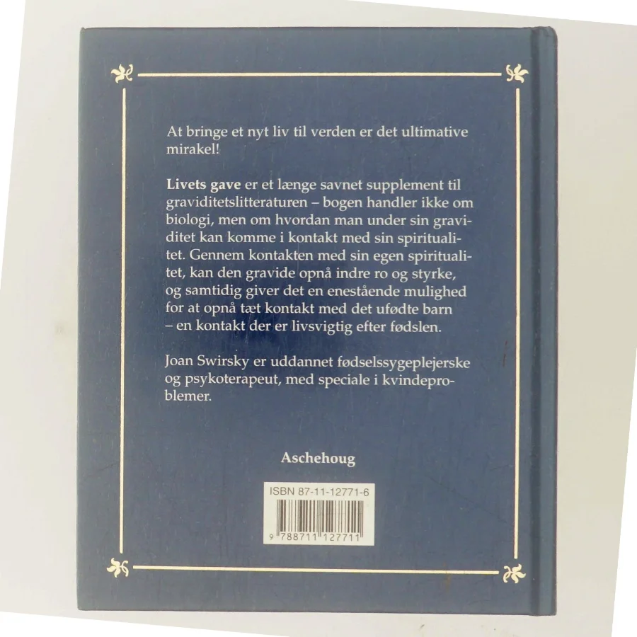 Livets gave : en spirituel guide til den vordende mor af Joan Swirsky (Bog)