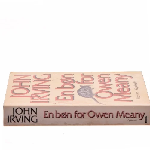 En bøn for Owen Meany af John Irving (Bog)