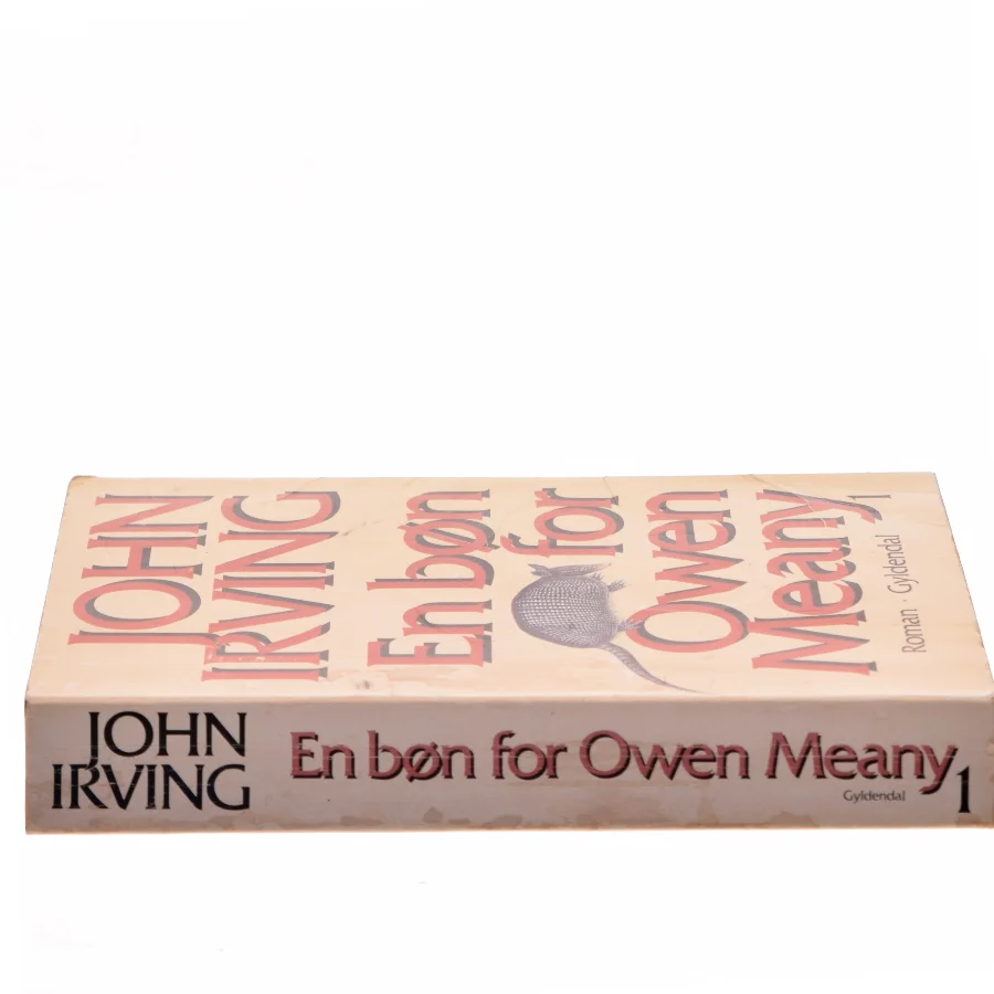 En bøn for Owen Meany af John Irving (Bog)