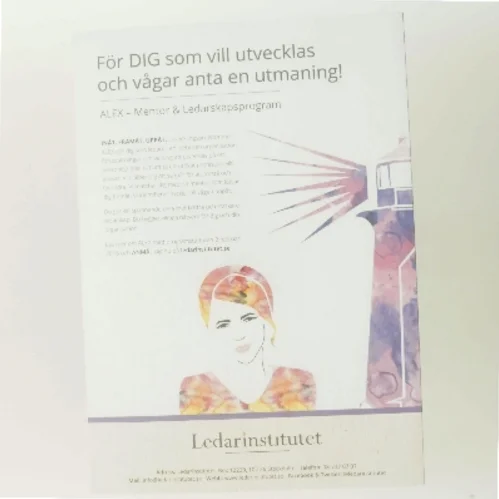 Kurage #17: Vem styr? af Redaktionen for tidsskriftet Kurage (Bog)