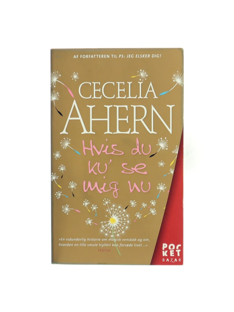 Forsiden af Hvis du ku' se mig nu (If You Could See Me Now) af Cecelia Ahern