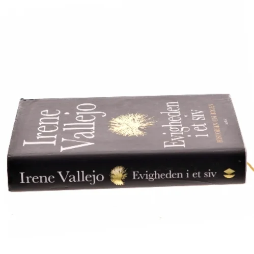 Evigheden i et siv : historien om bogen af Irene Vallejo (f. 1979) (Bog)