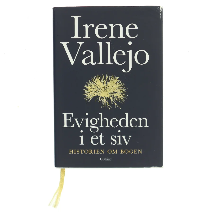 Evigheden i et siv : historien om bogen af Irene Vallejo (f. 1979) (Bog)