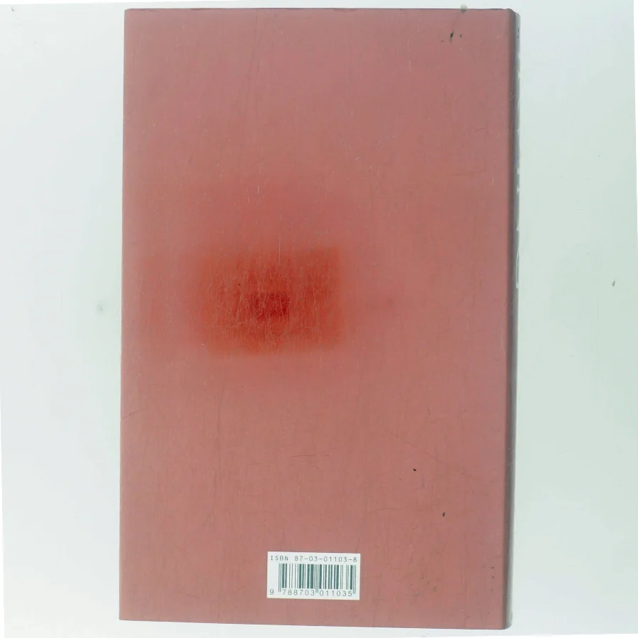 Indtil jeg finder dig af John Irving (Bog)