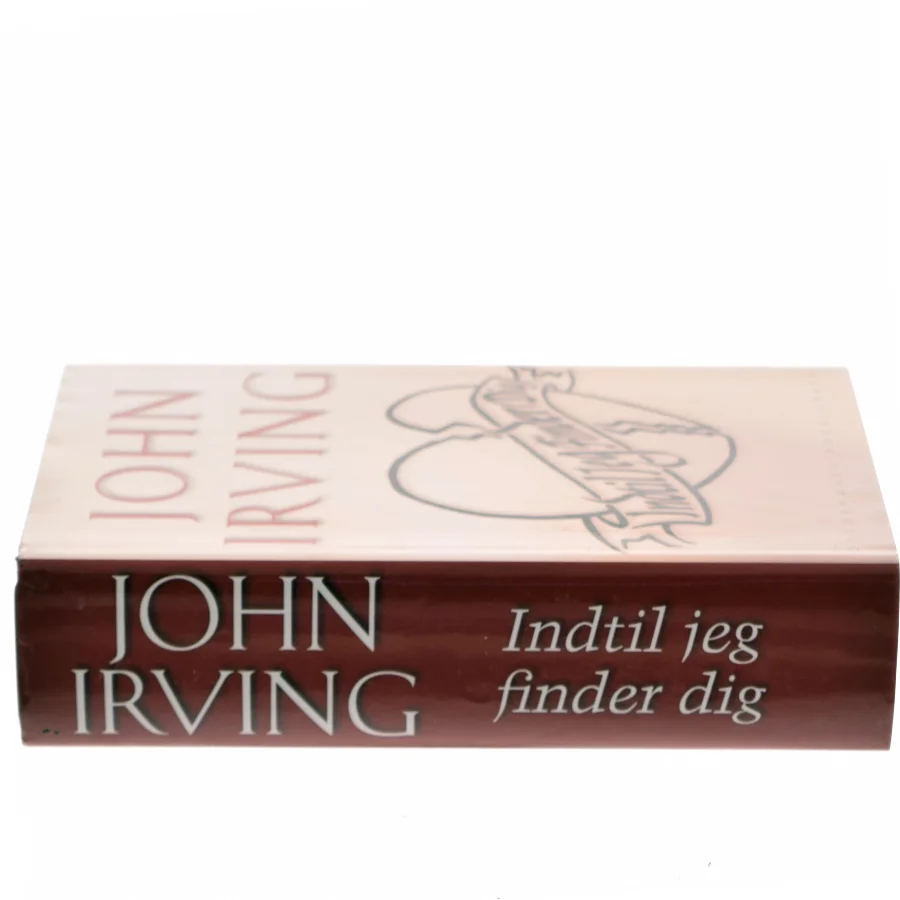 Indtil jeg finder dig af John Irving (Bog)
