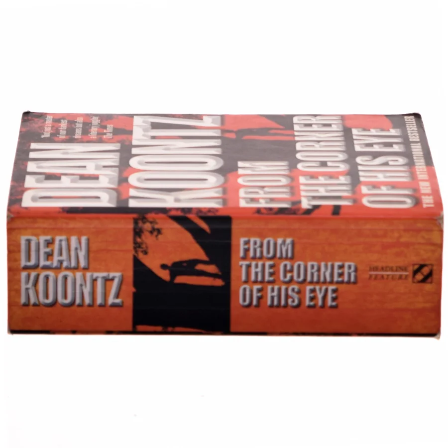 From the Corner of His Eye af Dean Koontz (Bog)