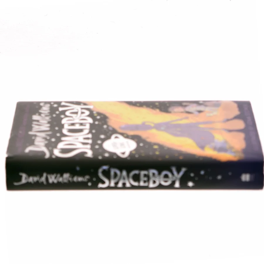 Spaceboy af David Williams (Bog)