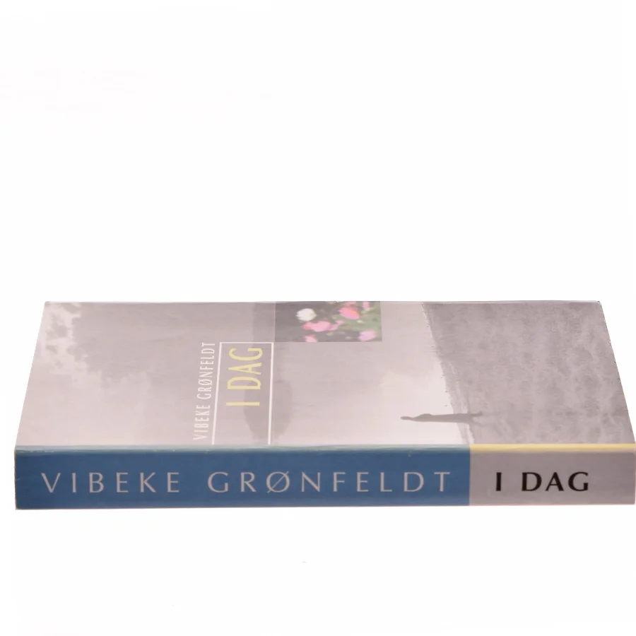 I dag af Vibeke Grønfeldt (Bog)
