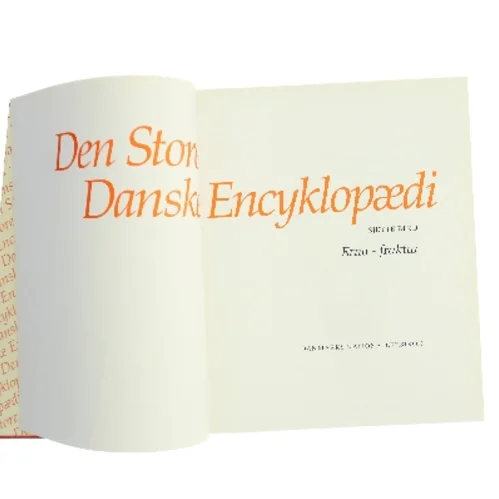 Den Store Danske Encyklopædi. Sjette bind: Erna - fraktur af Danmarks Nationalleksikon (Bog)