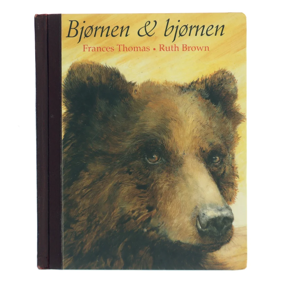 Bjørnen & bjørnen (Bog)