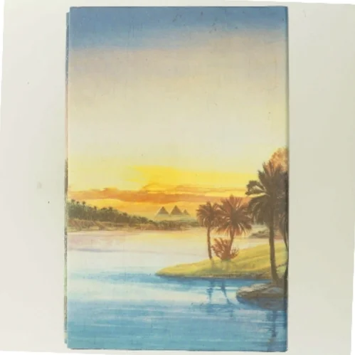 Kvinden fra Cairo af Noel Barber (Bog)