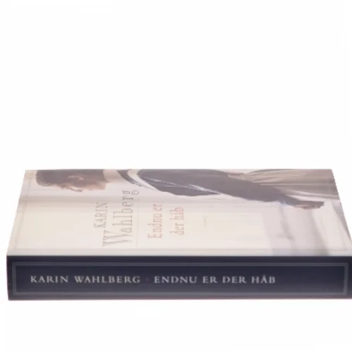 Endnu er der håb af Karin Wahlberg (Bog)