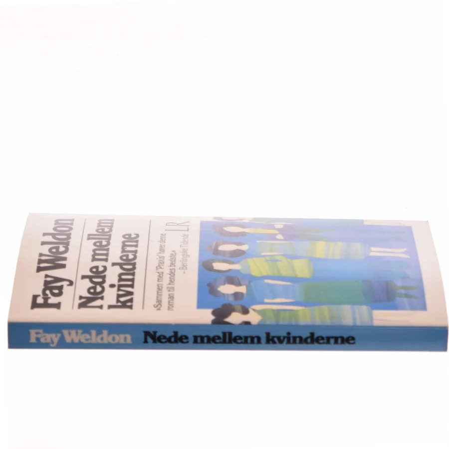 Nede mellem kvinderne af Fay Weldon (Bog)