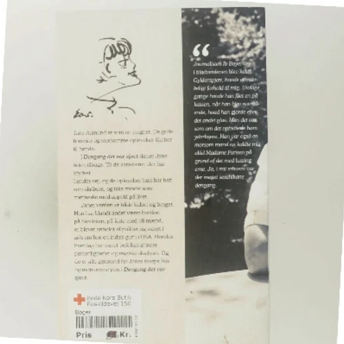 Dengang det var sjovt af Jane Aamund (Bog)