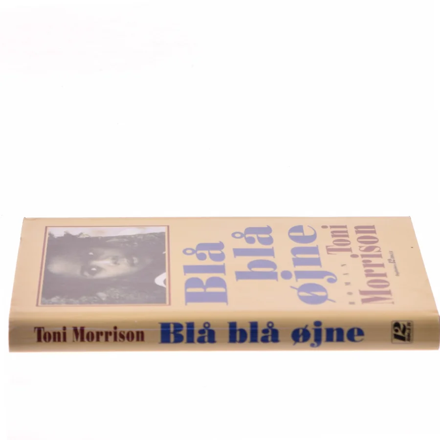 Blå blå øjne af Toni Morrison (Bog)