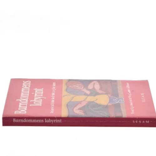 Barndommens labyrint (Bog)