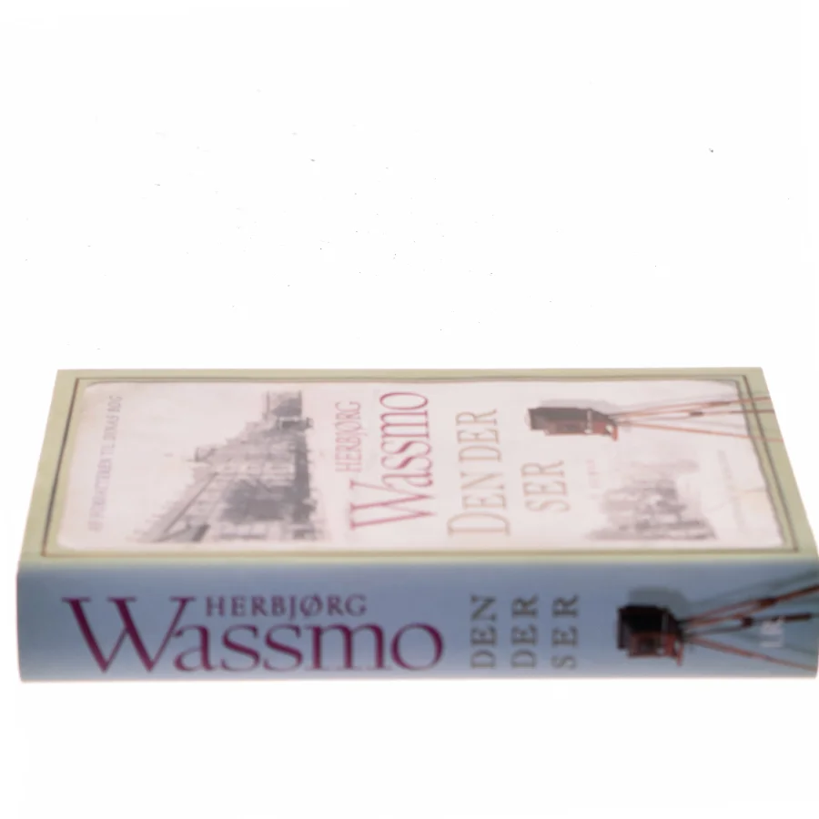 Den der ser af Herbjørg Wassmo (Bog)