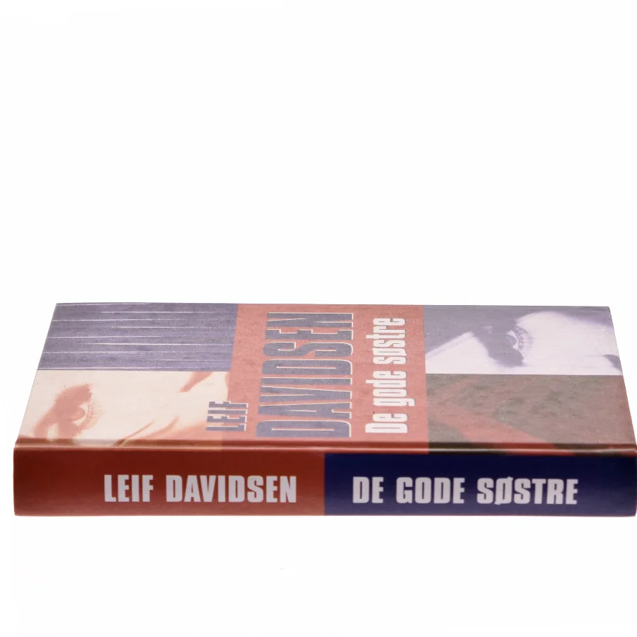 De gode søstre : roman af Leif Davidsen (Bog)