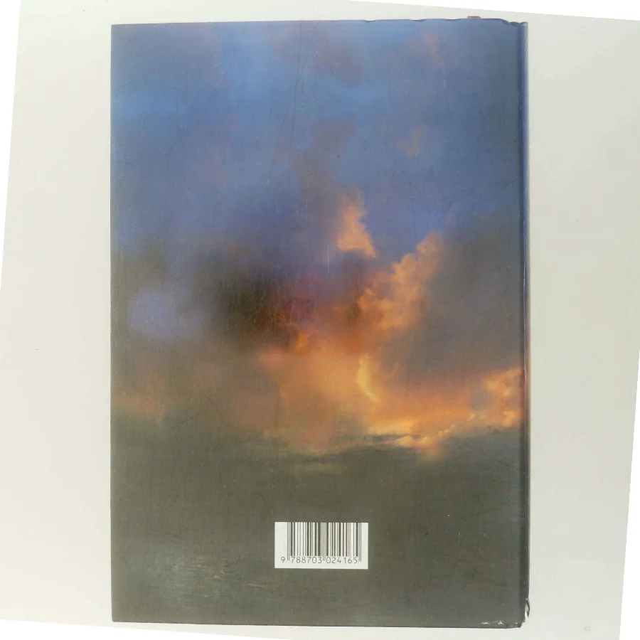 Vi, de druknede : roman af Carsten Jensen (f. 1952) (Bog)