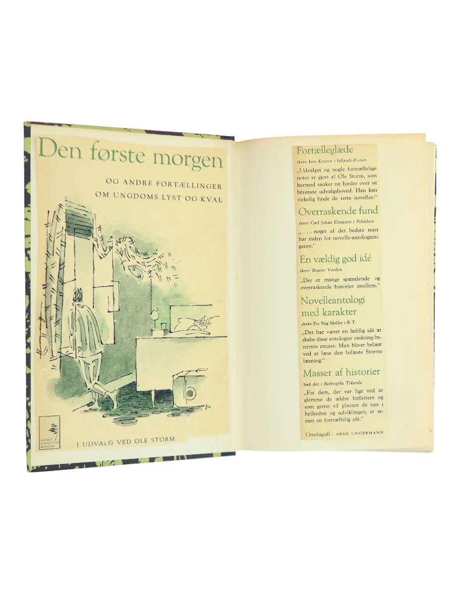 Forsiden af Den første morgen og andre fortællinger om ungdoms lyst og kval af Ole Storm (red., udvalg)