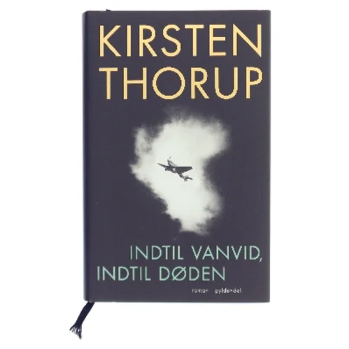 Indtil vanvid, indtil døden : roman af Kirsten Thorup (Bog)
