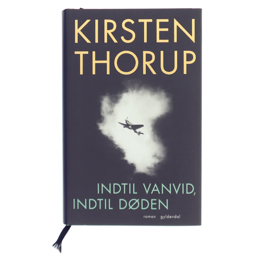 Indtil vanvid, indtil døden : roman af Kirsten Thorup (Bog)