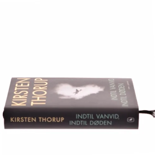 Indtil vanvid, indtil døden : roman af Kirsten Thorup (Bog)