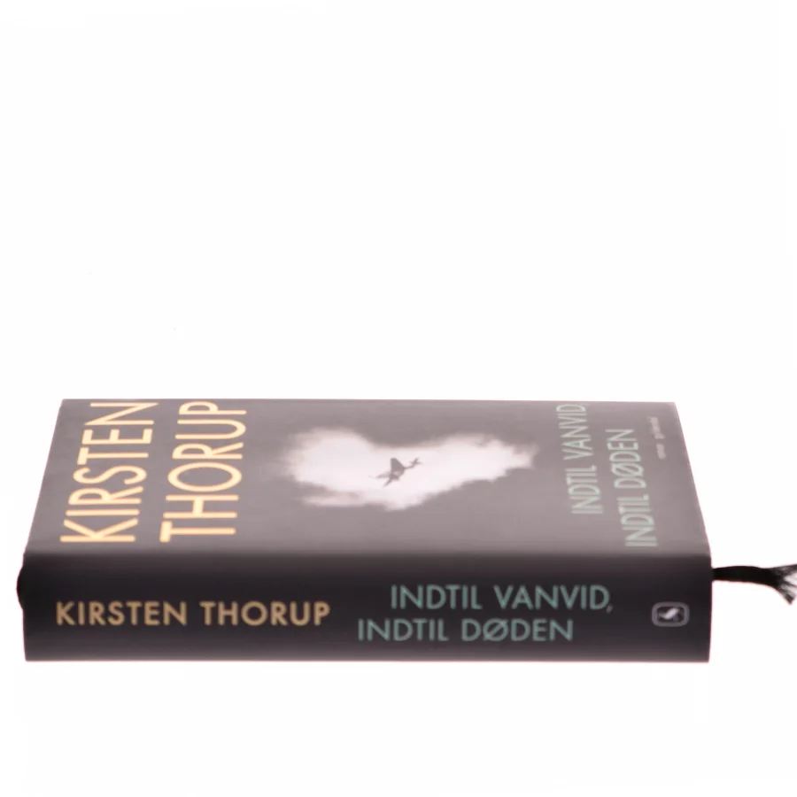 Indtil vanvid, indtil døden : roman af Kirsten Thorup (Bog)