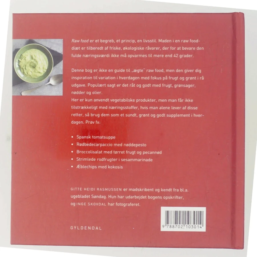 Spis godt Raw food for begyndere af Gitte Heidi Rasmussen (Bog)