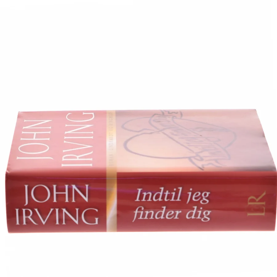 Indtil jeg finder dig af John Irving (Bog)