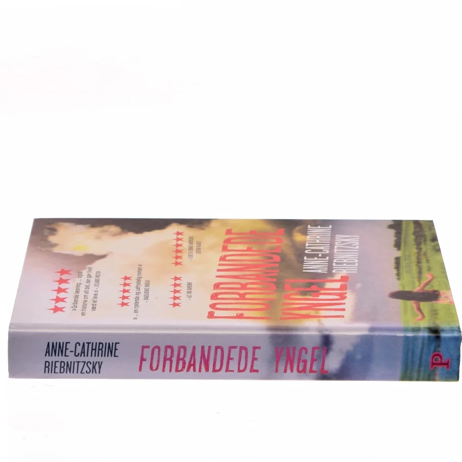Forbandede yngel af Anne-Cathrine Riebnitzsky (Bog)