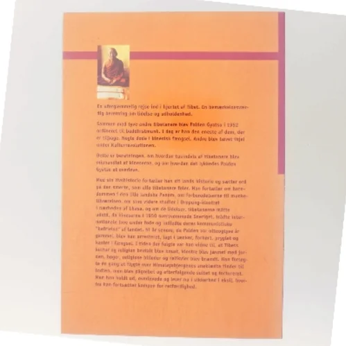 Ilden under sneen af Palden Gyatso (Bog)