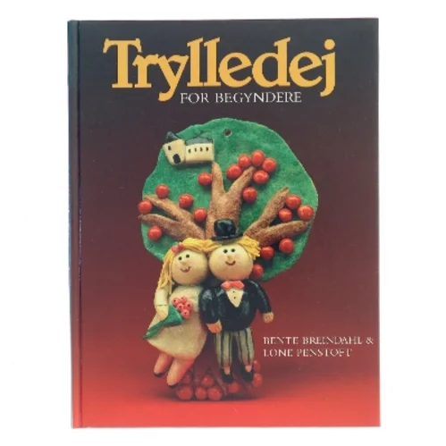 Trylledej for begyndere (Bog)