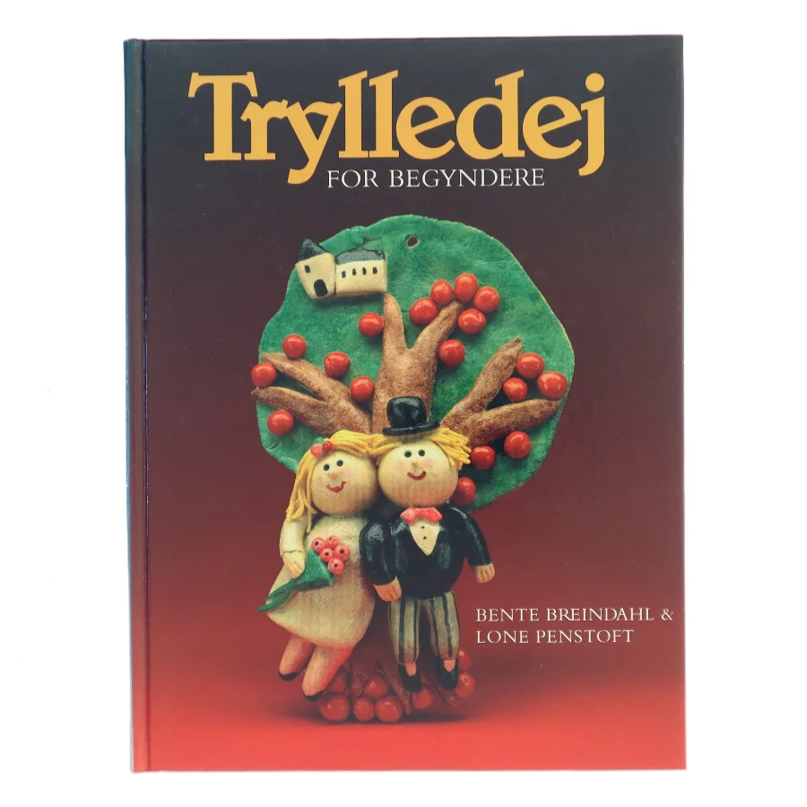 Trylledej for begyndere (Bog)