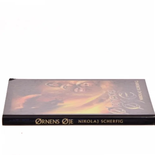 Ørnens øje : roman af Nikolaj Scherfig (Bog)