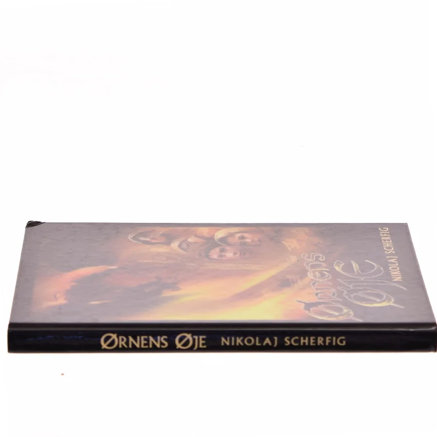 Ørnens øje : roman af Nikolaj Scherfig (Bog)