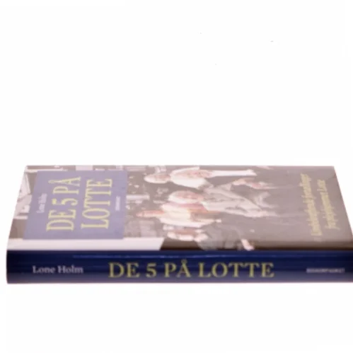 De 5 på Lotte : livsbekræftende fortællinger fra plejehjemmet Lotte af Lone Holm (f. 1975) (Bog)