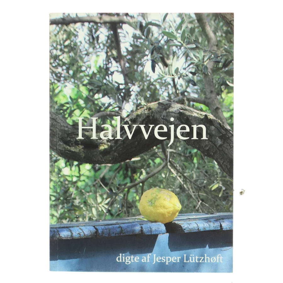 Halvvejen af Jesper Lützhoft (Bog)
