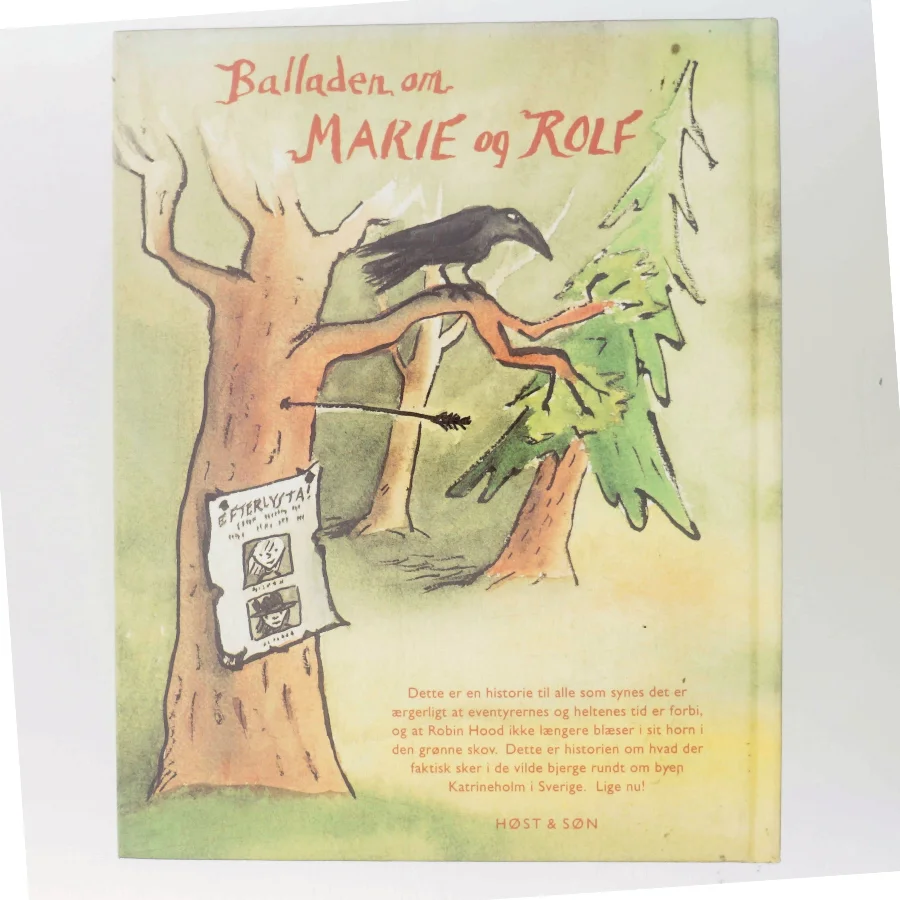 Balladen om Marie og Rolf (Bog)